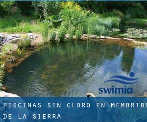 Piscinas sin cloro en Membribe de la Sierra