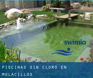 Piscinas sin cloro en Molacillos