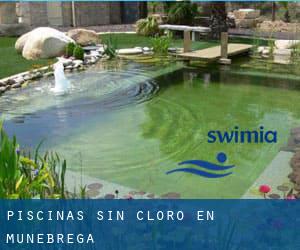 Piscinas sin cloro en Munébrega