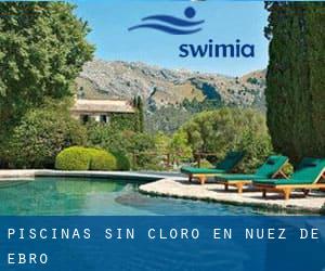 Piscinas sin cloro en Nuez de Ebro