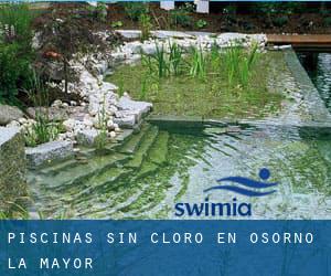 Piscinas sin cloro en Osorno la Mayor