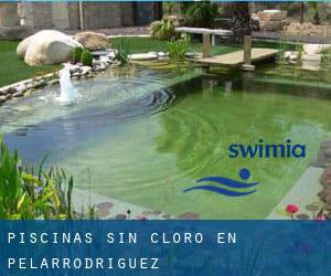 Piscinas sin cloro en Pelarrodríguez