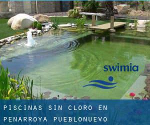 Piscinas sin cloro en Peñarroya-Pueblonuevo