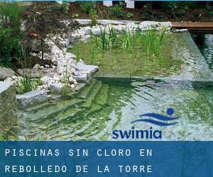 Piscinas sin cloro en Rebolledo de la Torre