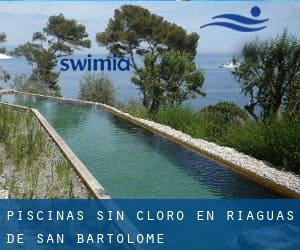 Piscinas sin cloro en Riaguas de San Bartolomé