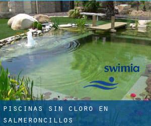 Piscinas sin cloro en Salmeroncillos