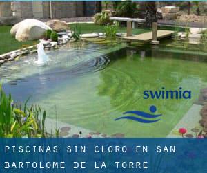 Piscinas sin cloro en San Bartolomé de la Torre