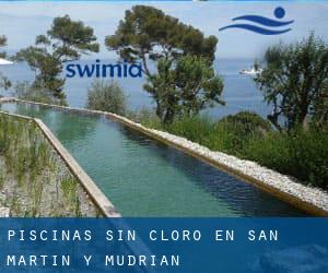 Piscinas sin cloro en San Martín y Mudrián