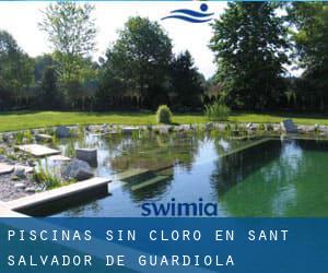 Piscinas sin cloro en Sant Salvador de Guardiola