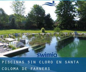 Piscinas sin cloro en Santa Coloma de Farners