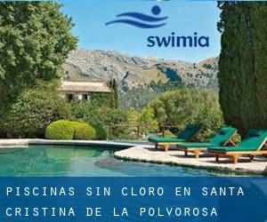 Piscinas sin cloro en Santa Cristina de la Polvorosa