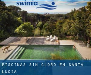 Piscinas sin cloro en Santa Lucía