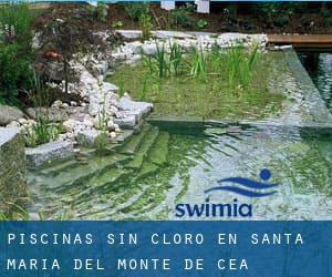 Piscinas sin cloro en Santa María del Monte de Cea