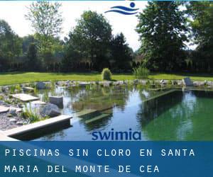 Piscinas sin cloro en Santa María del Monte de Cea