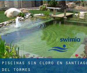 Piscinas sin cloro en Santiago del Tormes