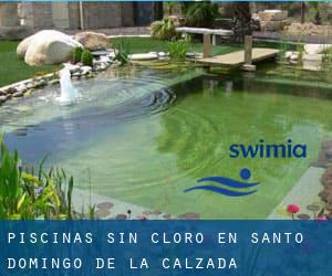 Piscinas sin cloro en Santo Domingo de la Calzada