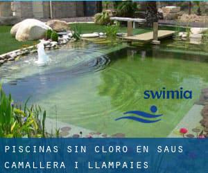 Piscinas sin cloro en Saus, Camallera i Llampaies