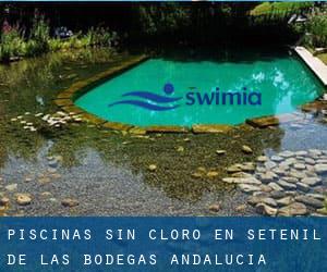 Piscinas sin cloro en Setenil de las Bodegas (Andalucía)