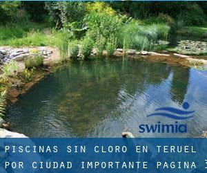 Piscinas sin cloro en Teruel por Ciudad Importante - página 3