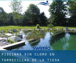 Piscinas sin cloro en Torrecillas de la Tiesa