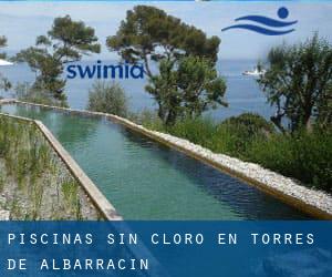 Piscinas sin cloro en Torres de Albarracín