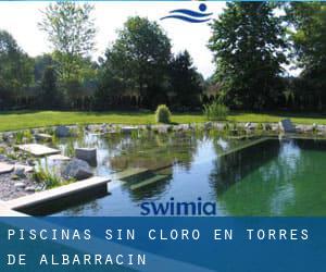 Piscinas sin cloro en Torres de Albarracín