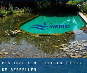 Piscinas sin cloro en Torres de Berrellén