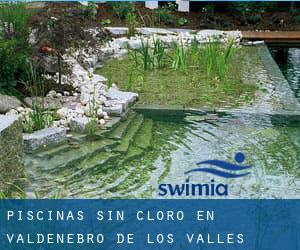 Piscinas sin cloro en Valdenebro de los Valles