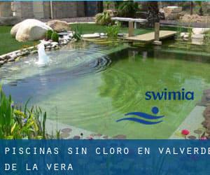 Piscinas sin cloro en Valverde de la Vera