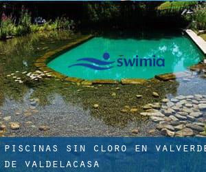 Piscinas sin cloro en Valverde de Valdelacasa