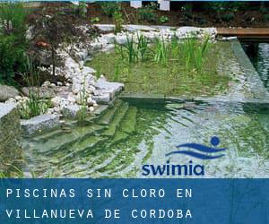 Piscinas sin cloro en Villanueva de Córdoba