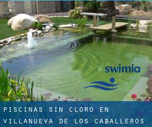 Piscinas sin cloro en Villanueva de los Caballeros