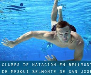 Clubes de natación en Bellmunt de Mesquí / Belmonte de San José