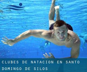 Clubes de natación en Santo Domingo de Silos