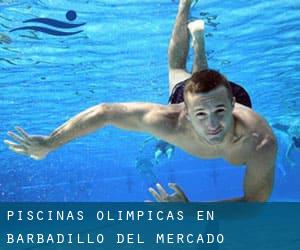 Piscinas olímpicas en Barbadillo del Mercado