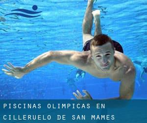 Piscinas olímpicas en Cilleruelo de San Mamés