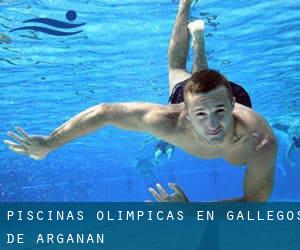 Piscinas olímpicas en Gallegos de Argañán