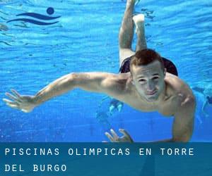 Piscinas olímpicas en Torre del Burgo