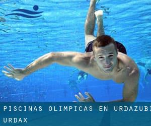 Piscinas olímpicas en Urdazubi / Urdax