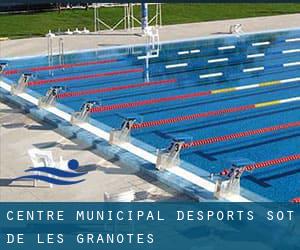 Centre-Municipal d’Esports Sot de les Granotes