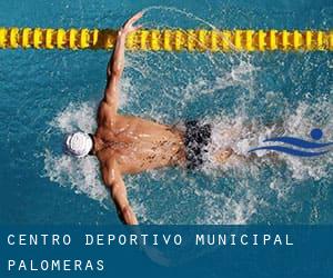 Centro Deportivo-Municipal Palomeras