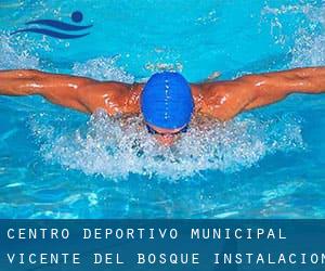 Centro Deportivo-Municipal Vicente del Bosque (Instalación Deportiva-Municipal del Barrio del Pilar)