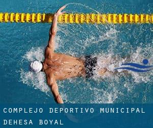 Complejo Deportivo-Municipal Dehesa Boyal