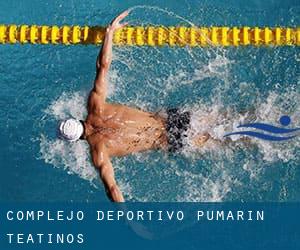 Complejo Deportivo Pumarín-Teatinos