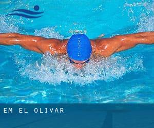 E.M. EL OLIVAR