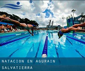 Natación en Agurain / Salvatierra