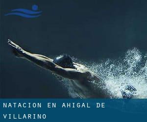 Natación en Ahigal de Villarino