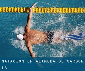 Natación en Alameda de Gardón (La)