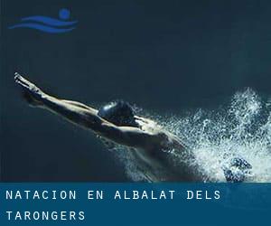 Natación en Albalat dels Tarongers