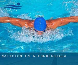 Natación en Alfondeguilla